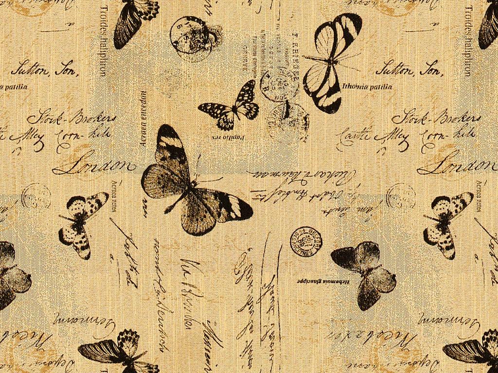 mariposa parchment
